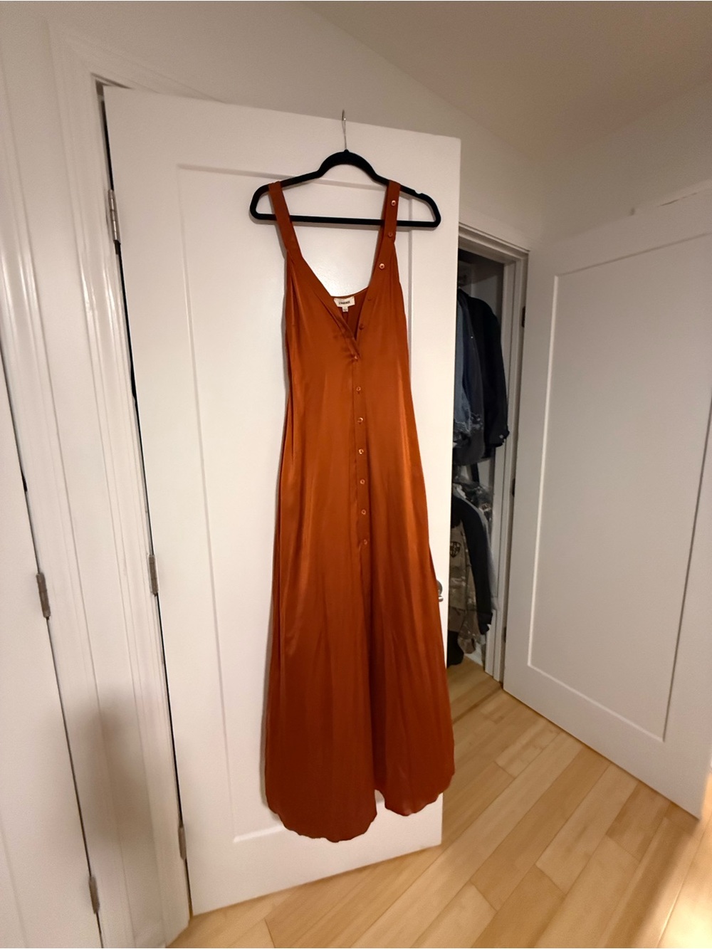 L'agence sienna button front 100% silk dress